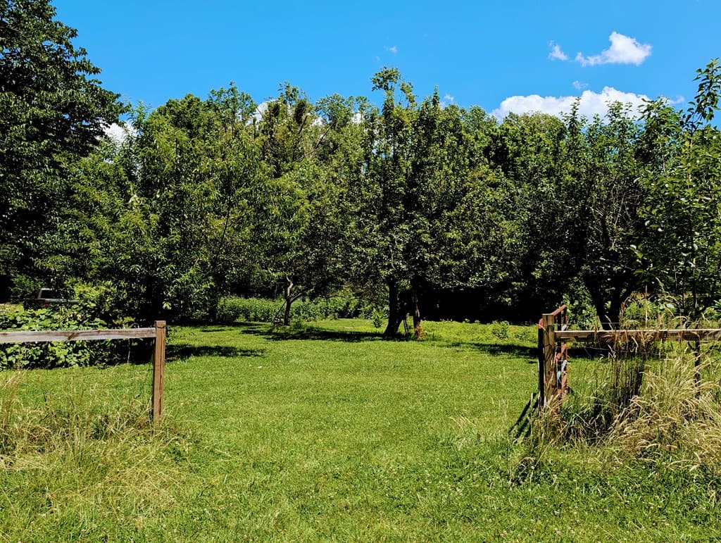 169 E Vineyard Road, Hayesville NC 28904 - Photo