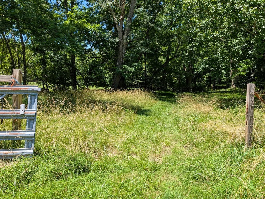 169 E Vineyard Road, Hayesville NC 28904 - Photo