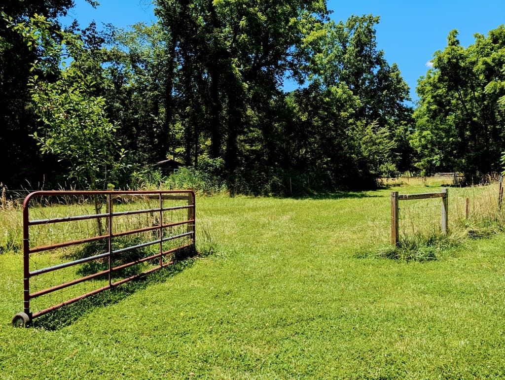 169 E Vineyard Road, Hayesville NC 28904 - Photo