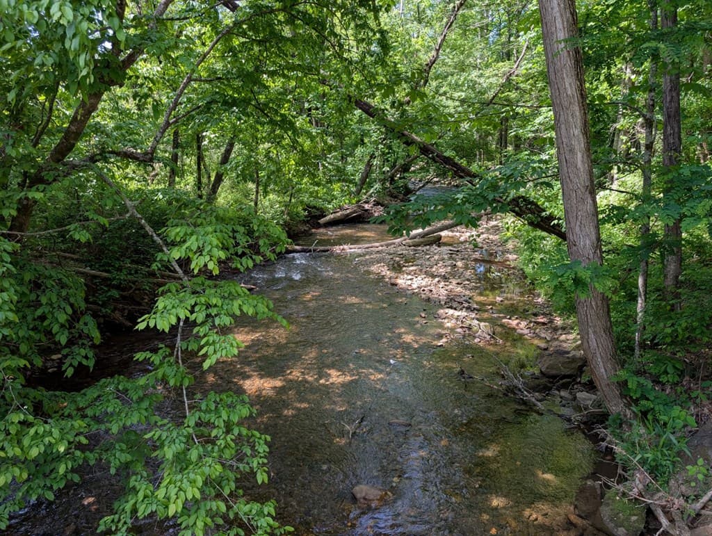 169 E Vineyard Road, Hayesville NC 28904 - Photo