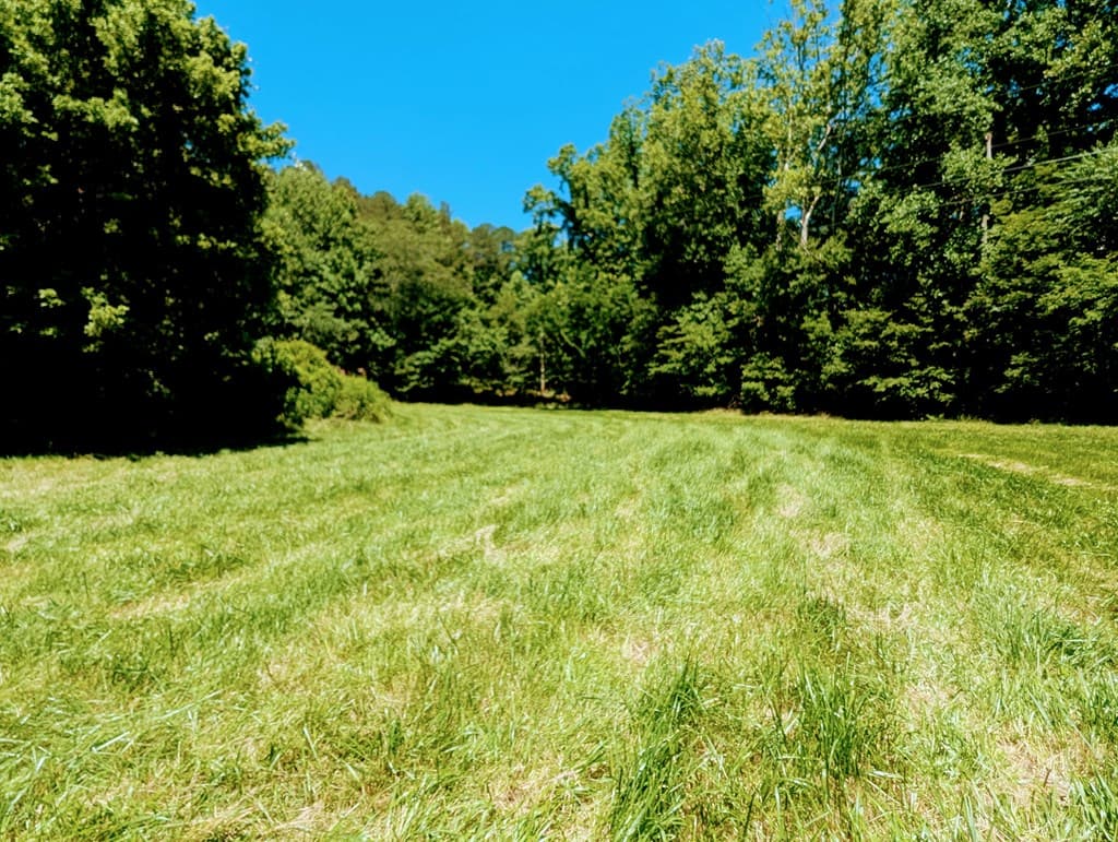 169 E Vineyard Road, Hayesville NC 28904 - Photo
