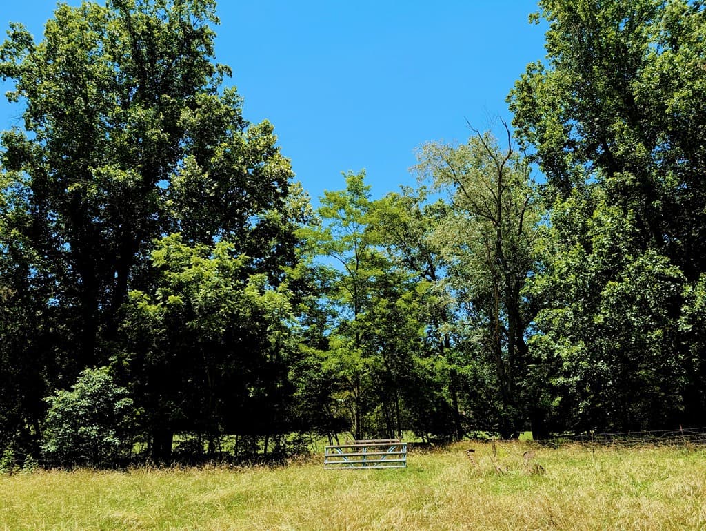 169 E Vineyard Road, Hayesville NC 28904 - Photo