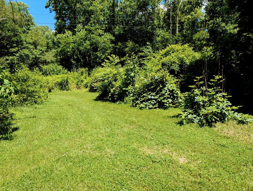 169 E Vineyard Road, Hayesville NC 28904 - Photo