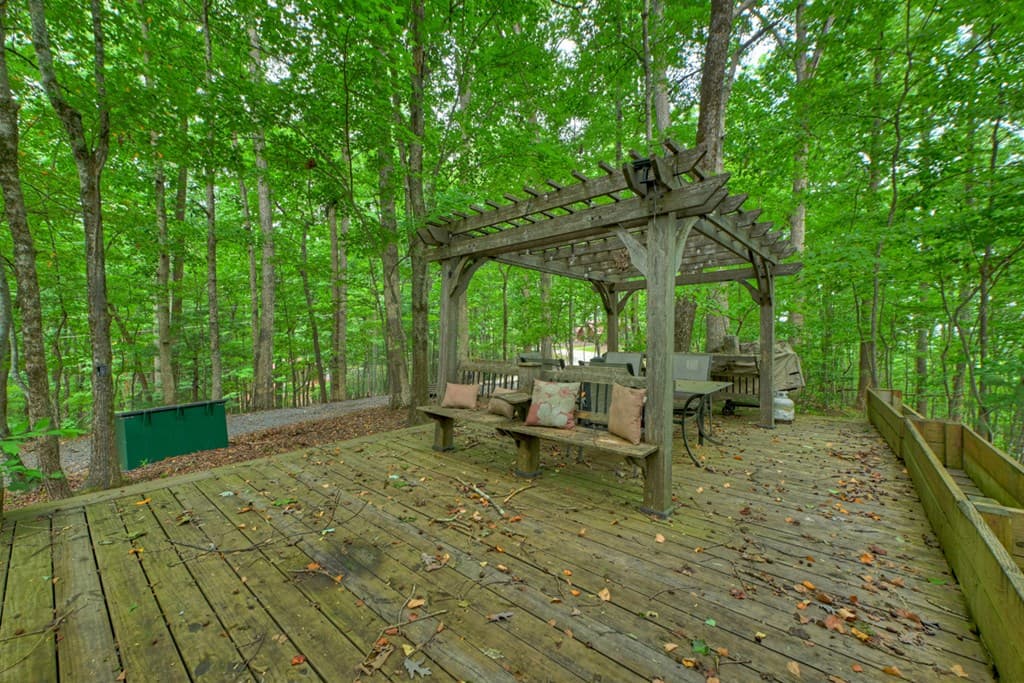 541 Little Bushy Head Road, Blue Ridge GA 30513 - Photo
