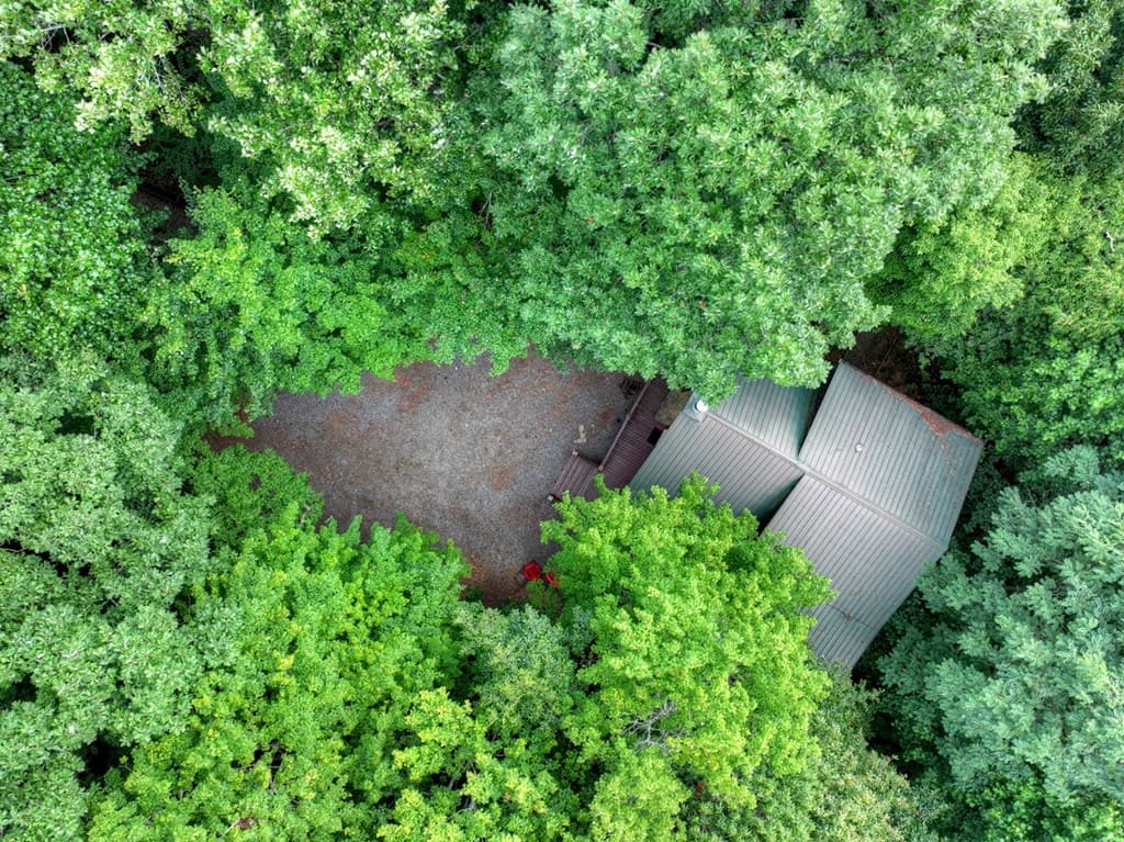 541 Little Bushy Head Road, Blue Ridge GA 30513 - Photo