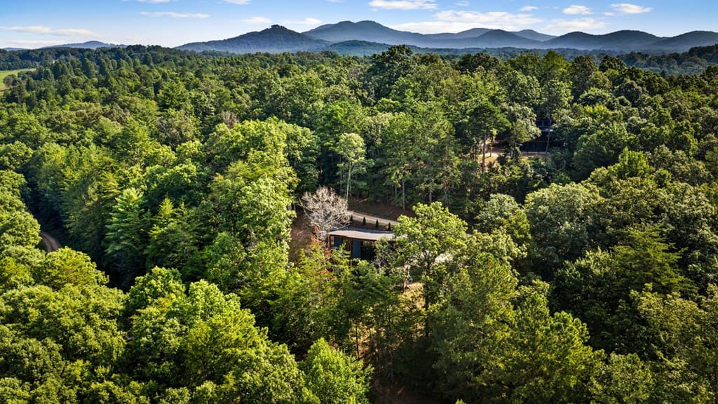 65 Wolf Creek Heights, Mineral Bluff GA 30559 - Photo
