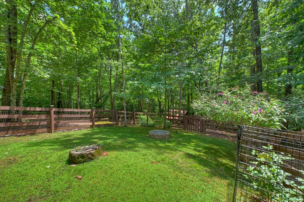 612 Medina Court, Ellijay GA 30540 - Photo