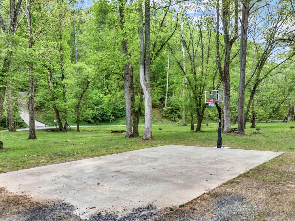 612 Medina Court, Ellijay GA 30540 - Photo