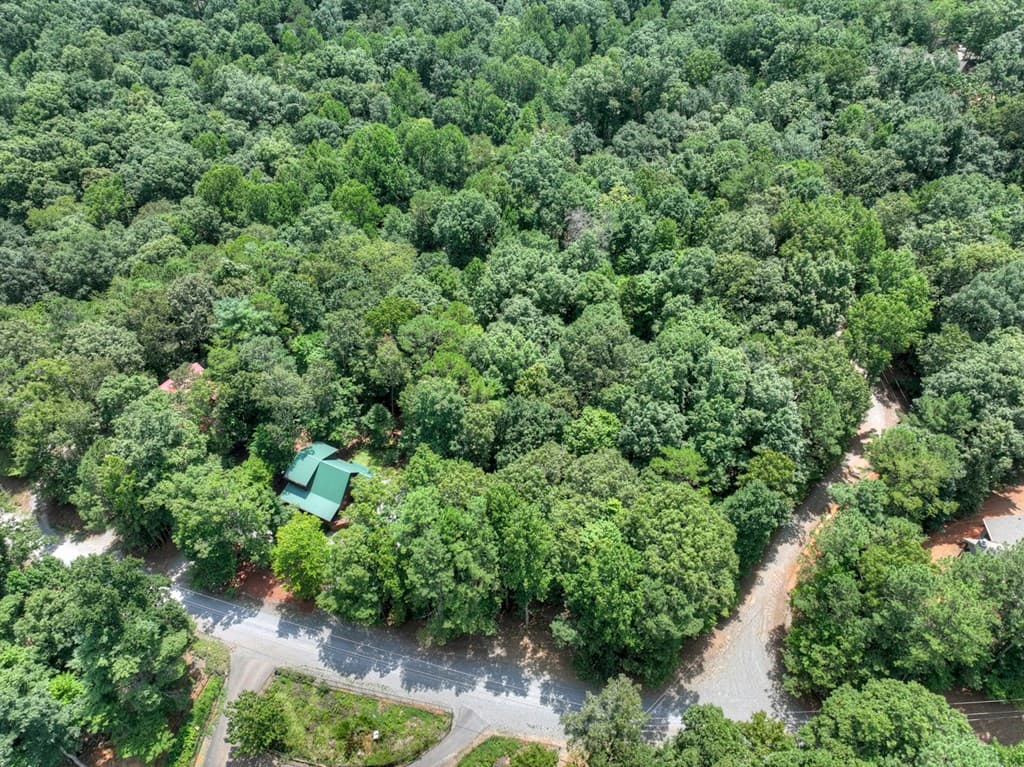 612 Medina Court, Ellijay GA 30540 - Photo