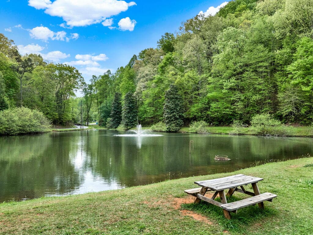612 Medina Court, Ellijay GA 30540 - Photo