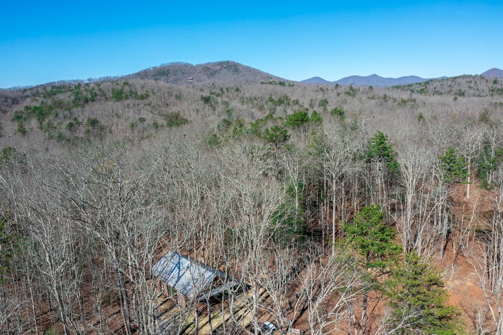 4011 Murphy Hwy, Mineral Bluff GA 30559 - Photo