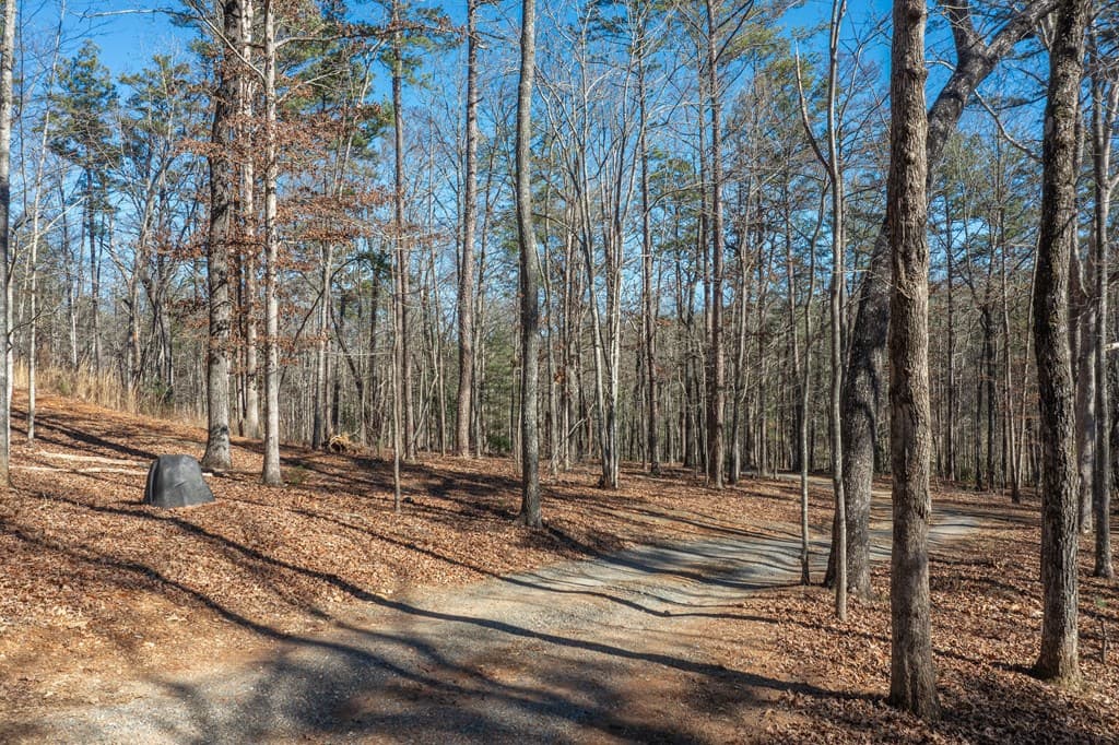 4011 Murphy Hwy, Mineral Bluff GA 30559 - Photo