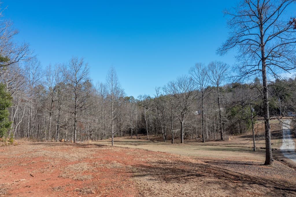 4011 Murphy Hwy, Mineral Bluff GA 30559 - Photo