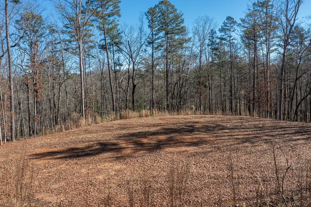 4011 Murphy Hwy, Mineral Bluff GA 30559 - Photo