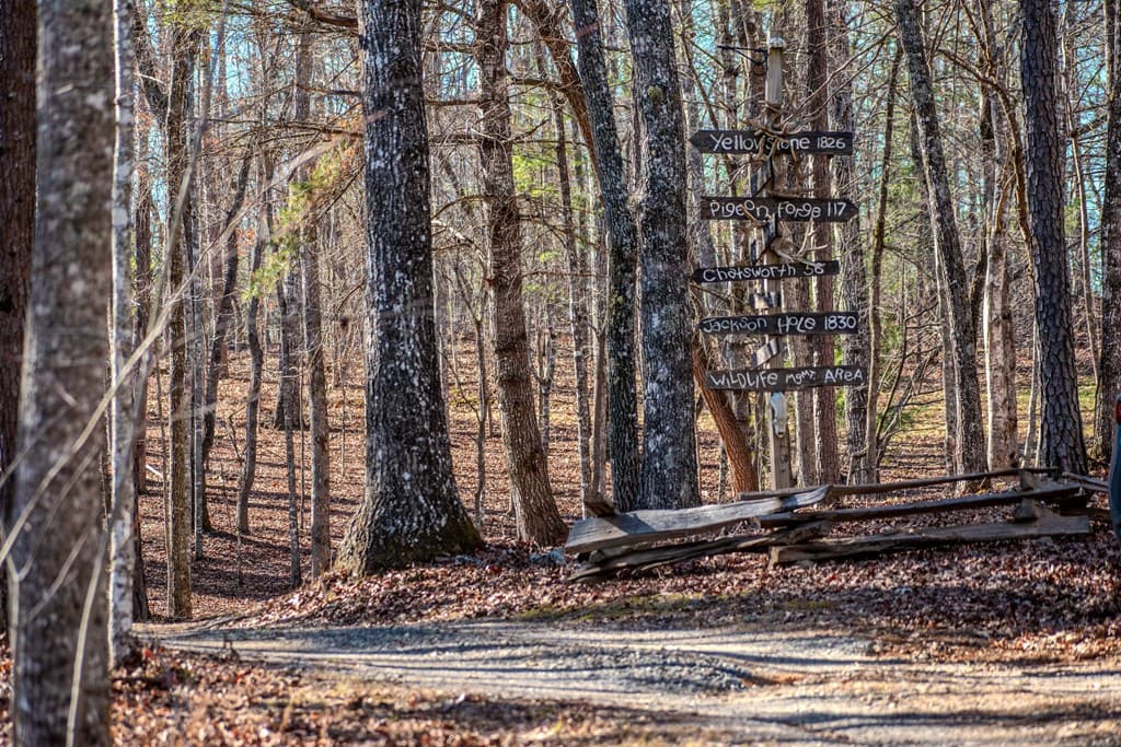 4011 Murphy Hwy, Mineral Bluff GA 30559 - Photo