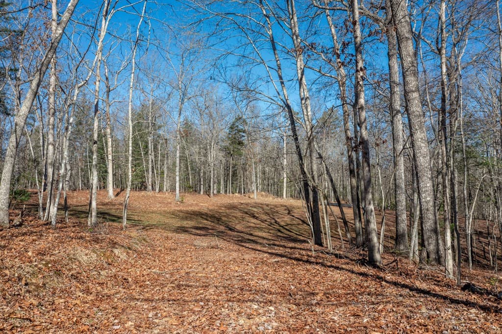 4011 Murphy Hwy, Mineral Bluff GA 30559 - Photo