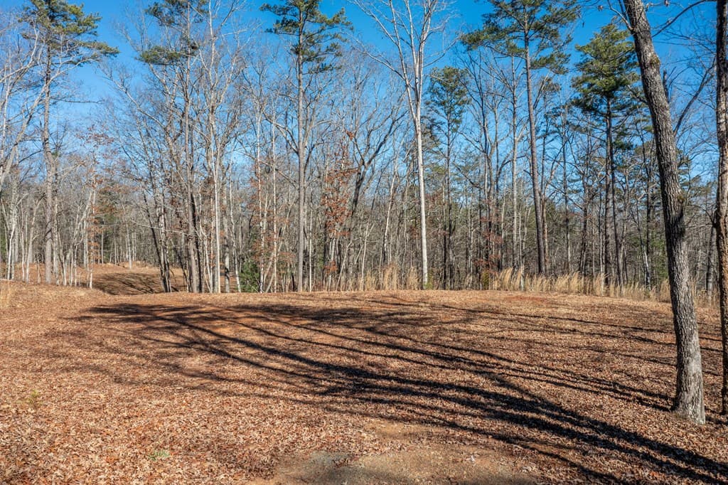 4011 Murphy Hwy, Mineral Bluff GA 30559 - Photo