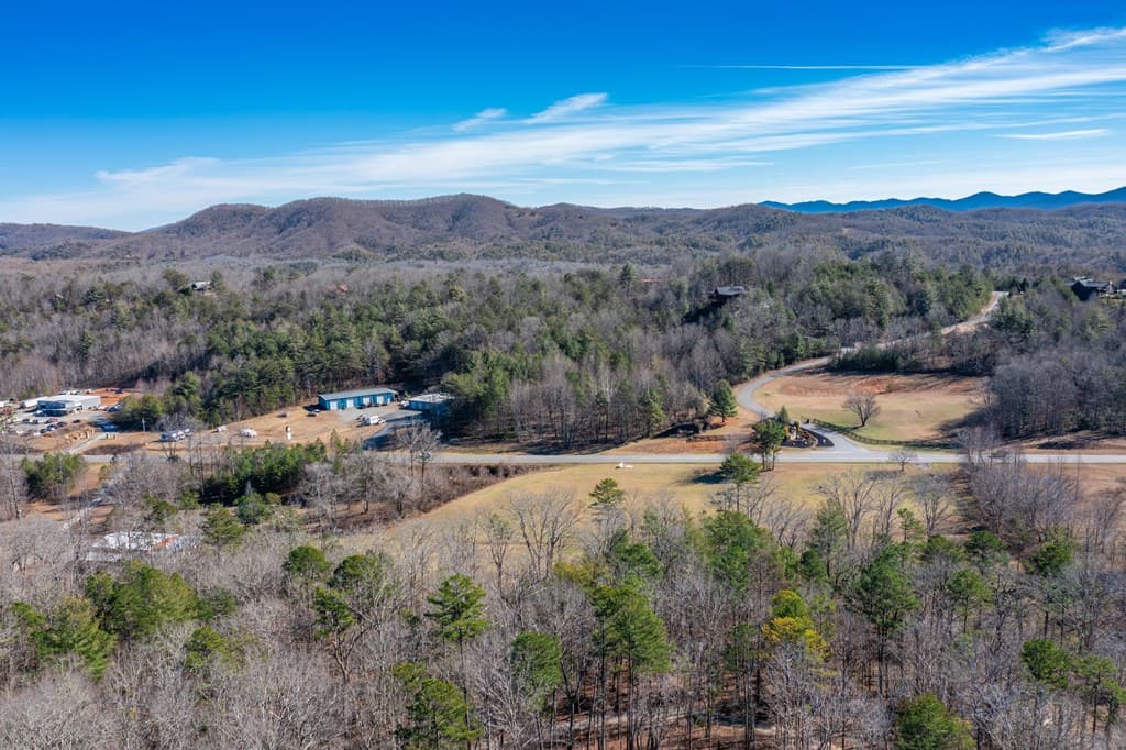 4011 Murphy Hwy, Mineral Bluff GA 30559 - Photo