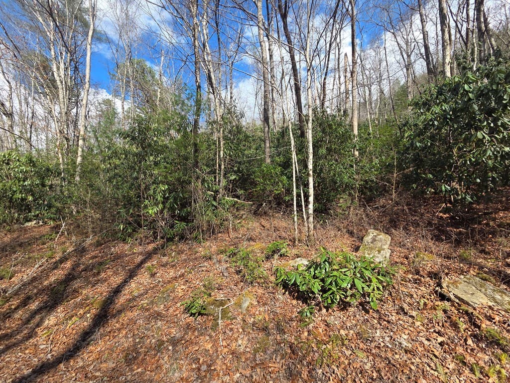 1104 Mill Creek Road, Robbinsville NC 28771 - Photo