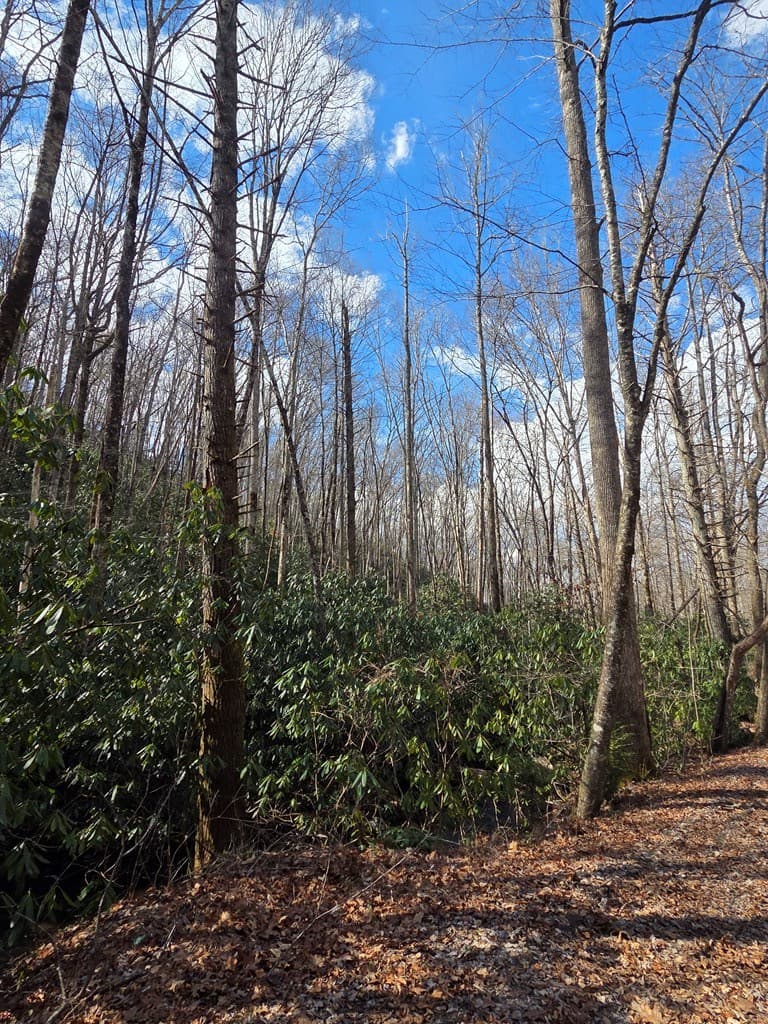 1104 Mill Creek Road, Robbinsville NC 28771 - Photo