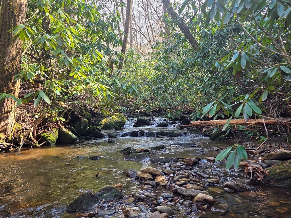 1104 Mill Creek Road, Robbinsville NC 28771 - Photo