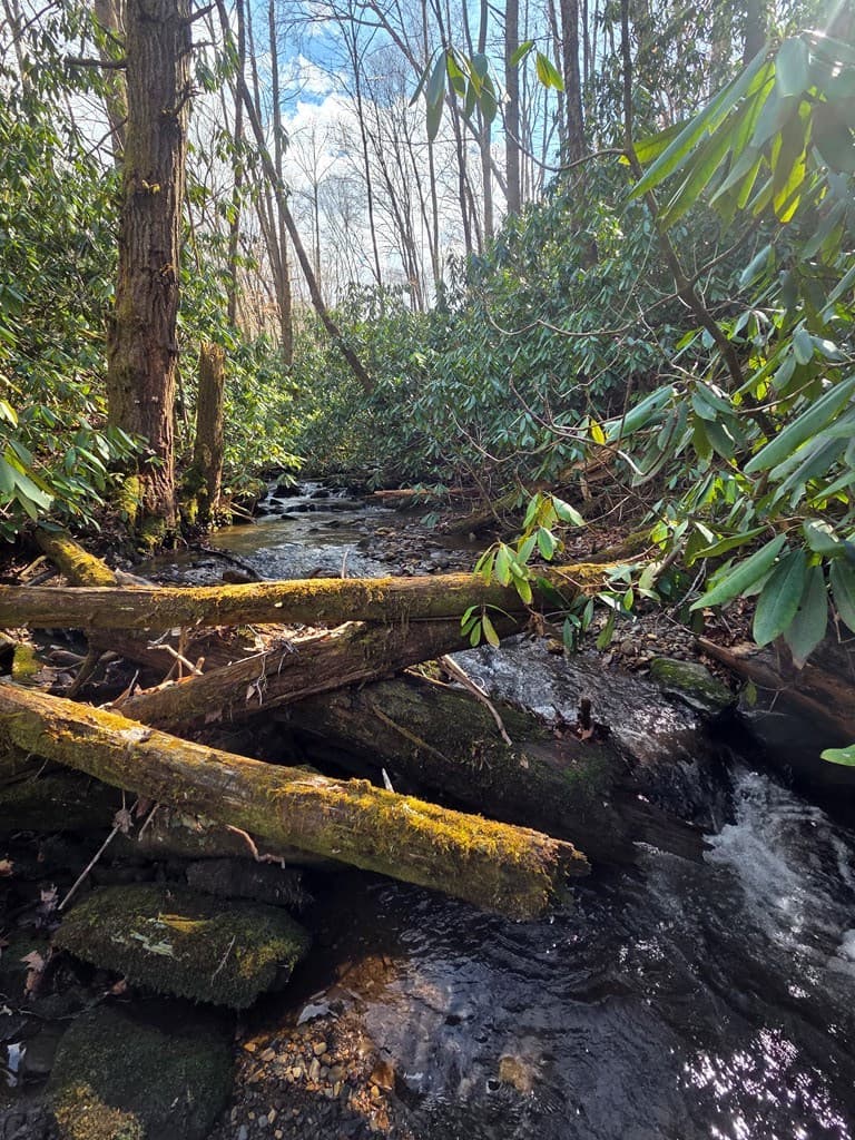 1104 Mill Creek Road, Robbinsville NC 28771 - Photo