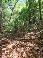 00 Vincent Colvin Road, Robbinsville NC 28771 - Photo