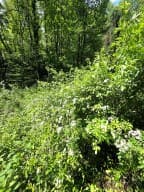 00 Vincent Colvin Road, Robbinsville NC 28771 - Photo