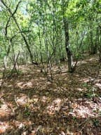 00 Vincent Colvin Road, Robbinsville NC 28771 - Photo