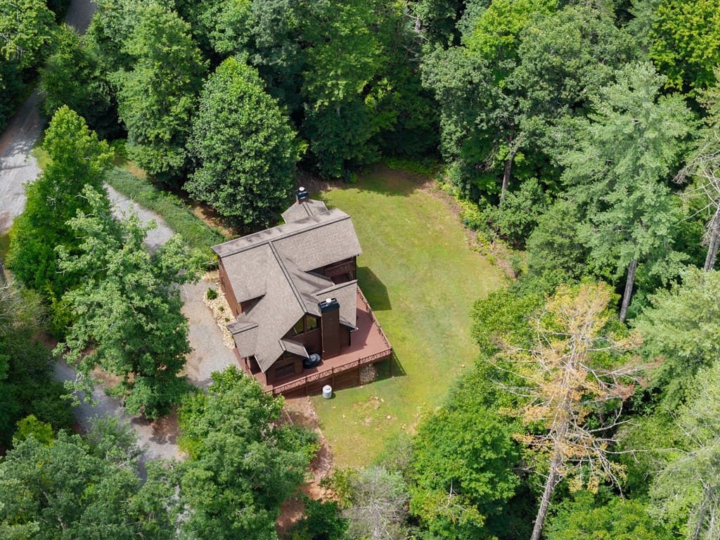 262 White Pine Acres Drive, Blue Ridge GA 30513 - Photo