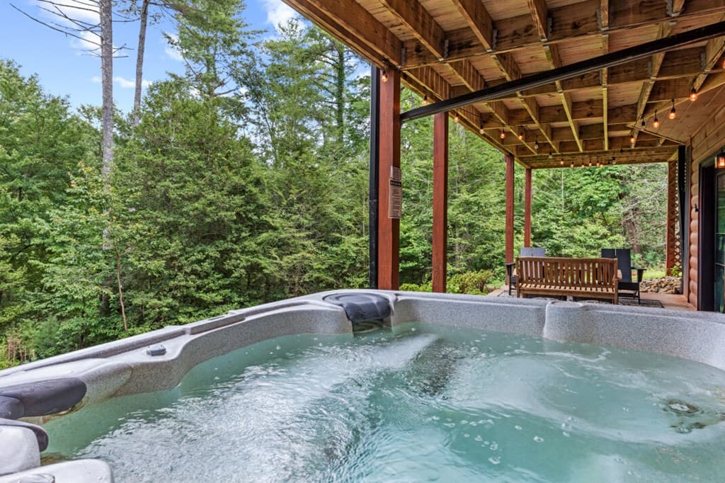262 White Pine Acres Drive, Blue Ridge GA 30513 - Photo