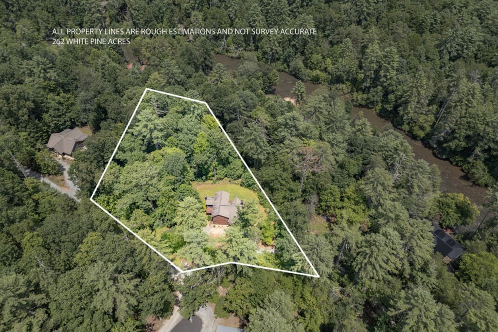 262 White Pine Acres Drive, Blue Ridge GA 30513 - Photo