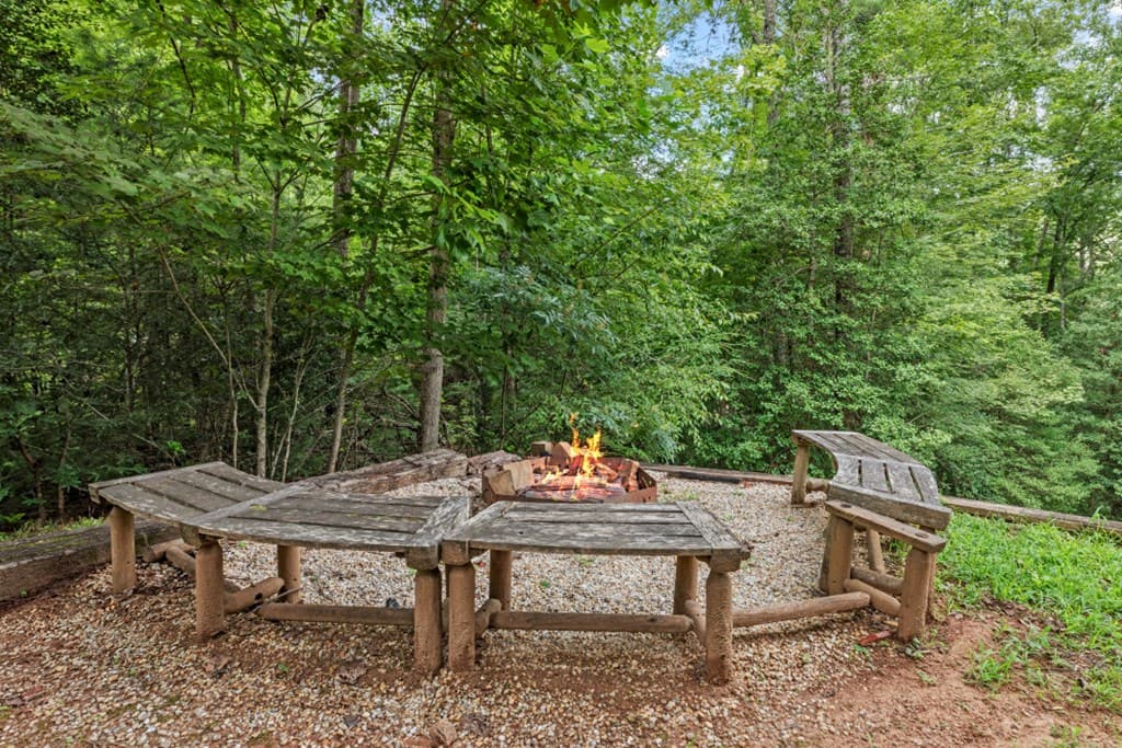 262 White Pine Acres Drive, Blue Ridge GA 30513 - Photo