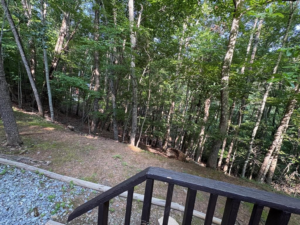 120 Hideaway Lane, Morganton GA 30560 - Photo