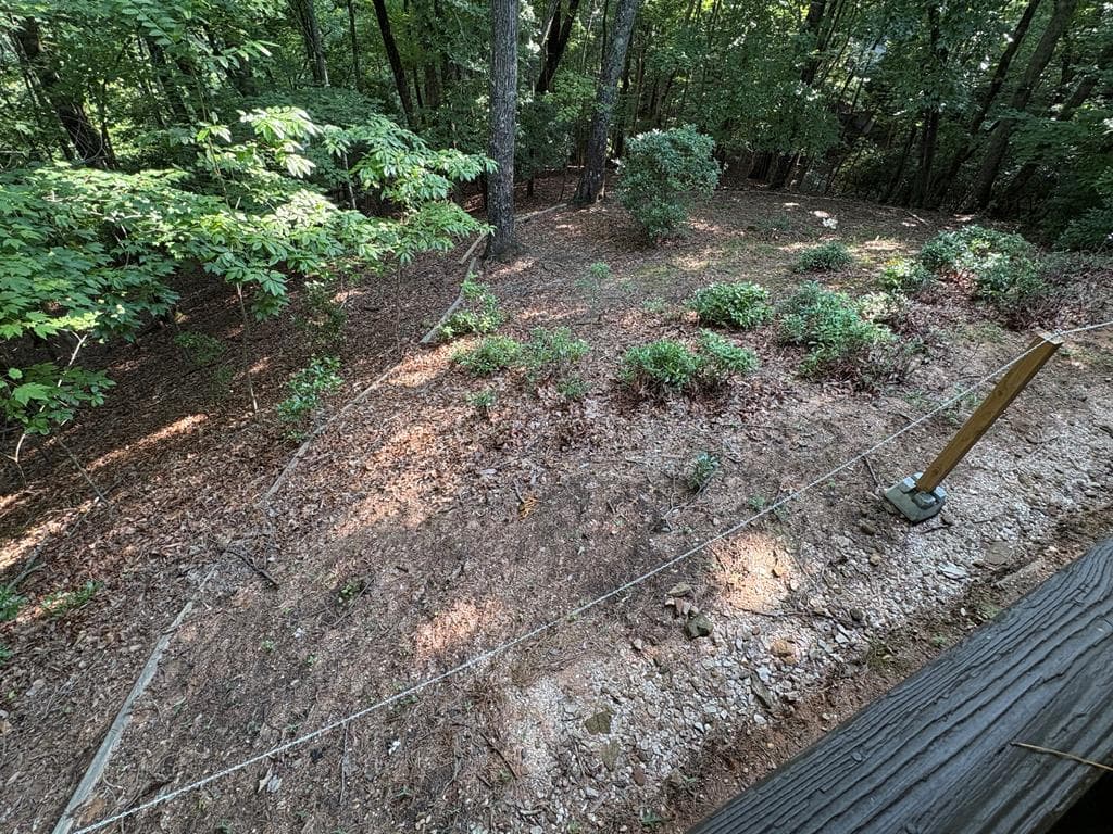 120 Hideaway Lane, Morganton GA 30560 - Photo
