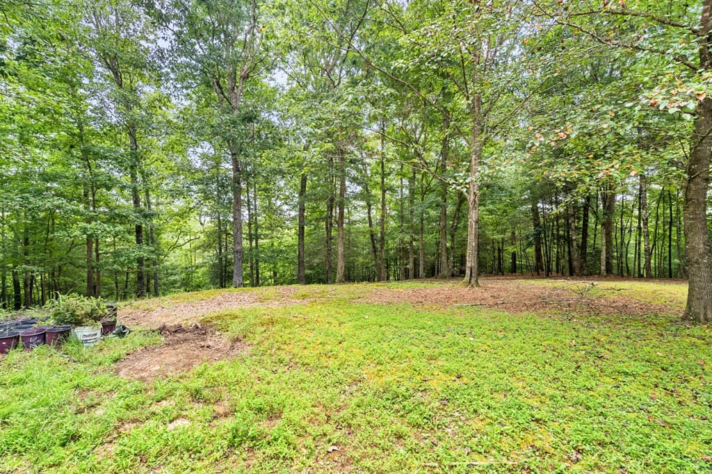 71 Bobwhite Lane, Murphy NC 28906 - Photo