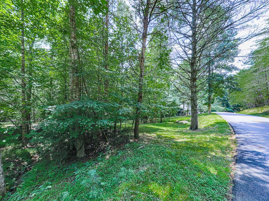 314 Spring Creek, Blairsville GA 30512 - Photo