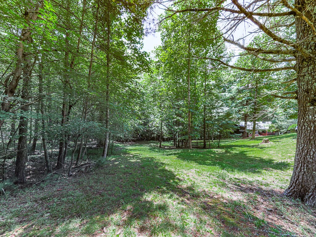 314 Spring Creek, Blairsville GA 30512 - Photo