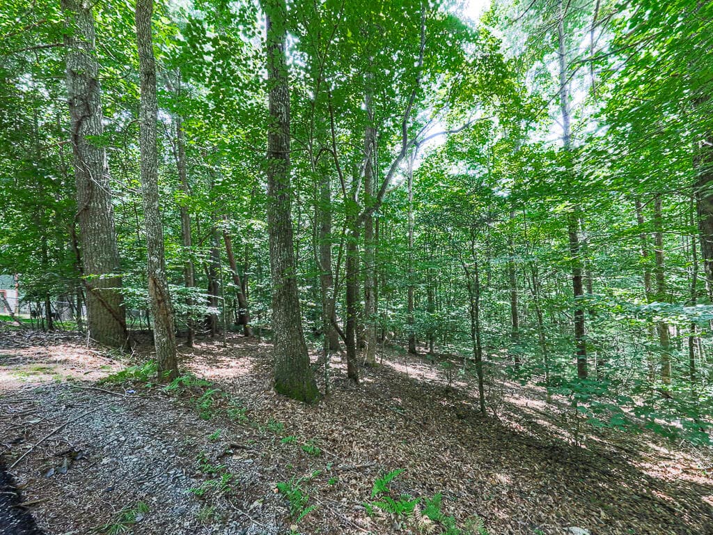 314 Spring Creek, Blairsville GA 30512 - Photo