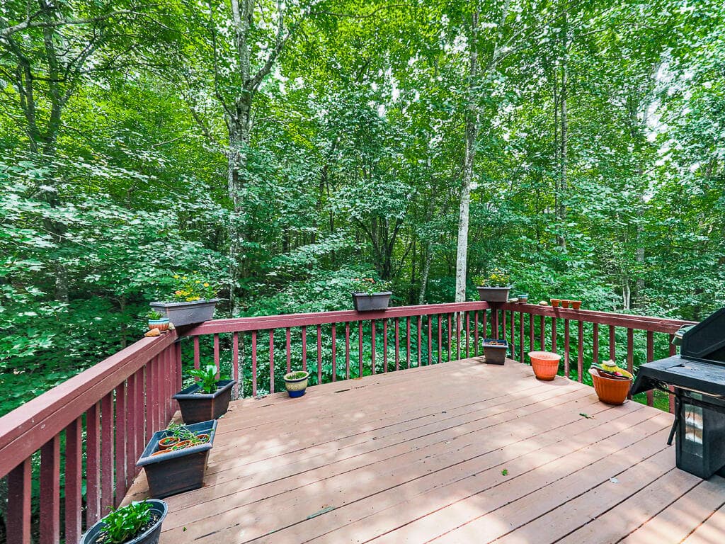 314 Spring Creek, Blairsville GA 30512 - Photo