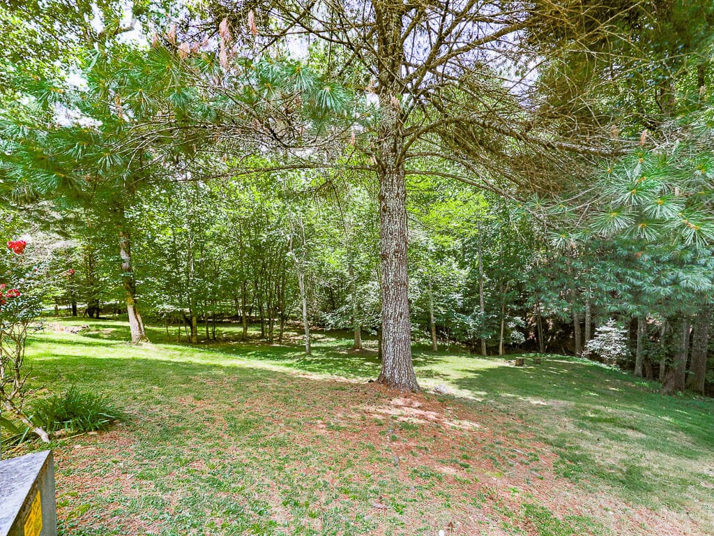 314 Spring Creek, Blairsville GA 30512 - Photo