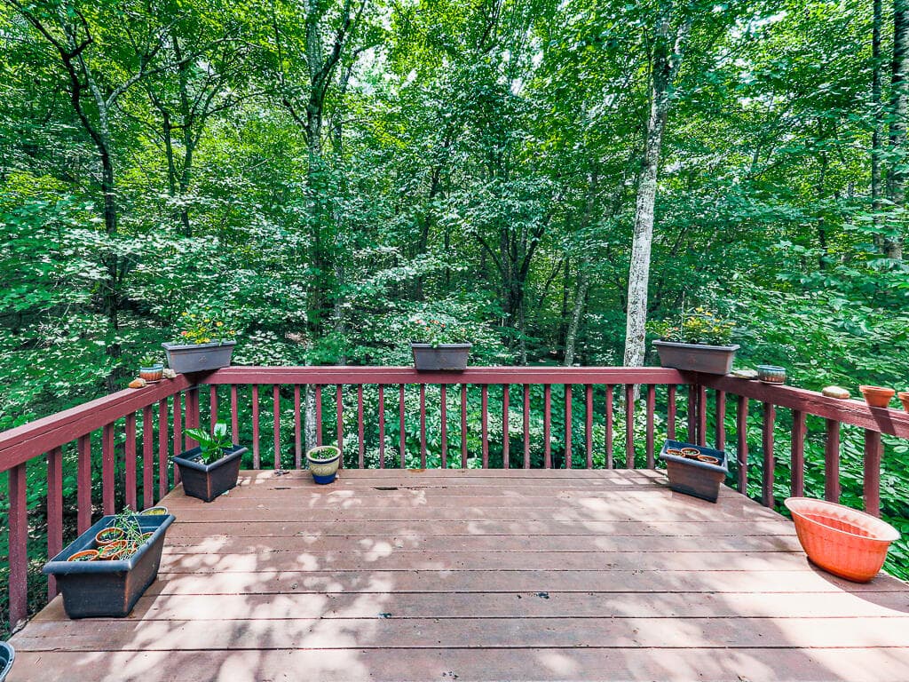 314 Spring Creek, Blairsville GA 30512 - Photo