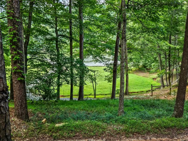 287 Owltown Farm Drive, Ellijay GA 30536 - Photo