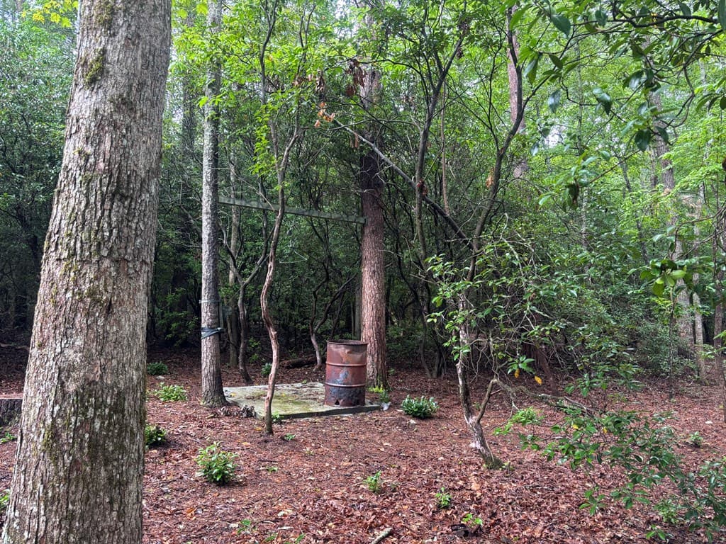 19 Ladybug Lane, Blue Ridge GA 30513 - Photo