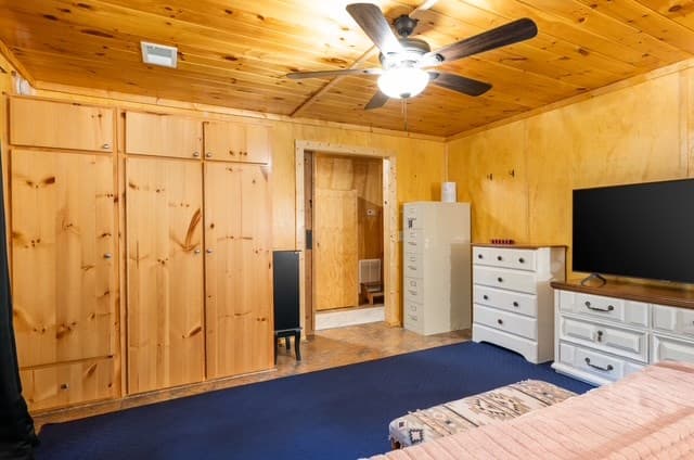 19 Ladybug Lane, Blue Ridge GA 30513 - Photo