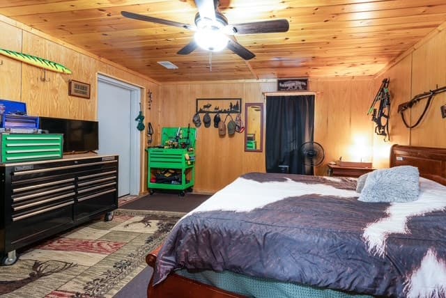 19 Ladybug Lane, Blue Ridge GA 30513 - Photo