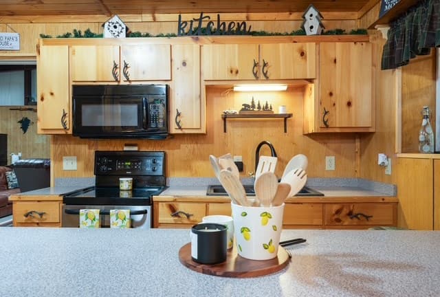 19 Ladybug Lane, Blue Ridge GA 30513 - Photo
