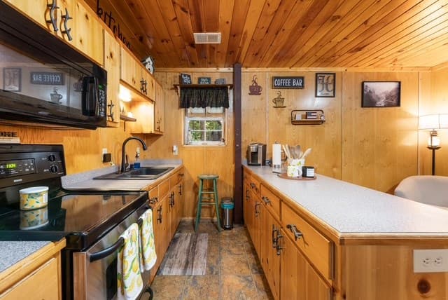 19 Ladybug Lane, Blue Ridge GA 30513 - Photo