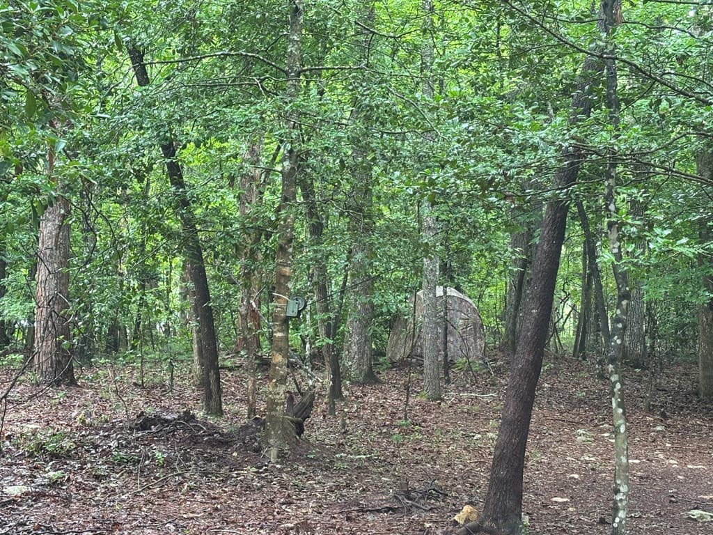 19 Ladybug Lane, Blue Ridge GA 30513 - Photo