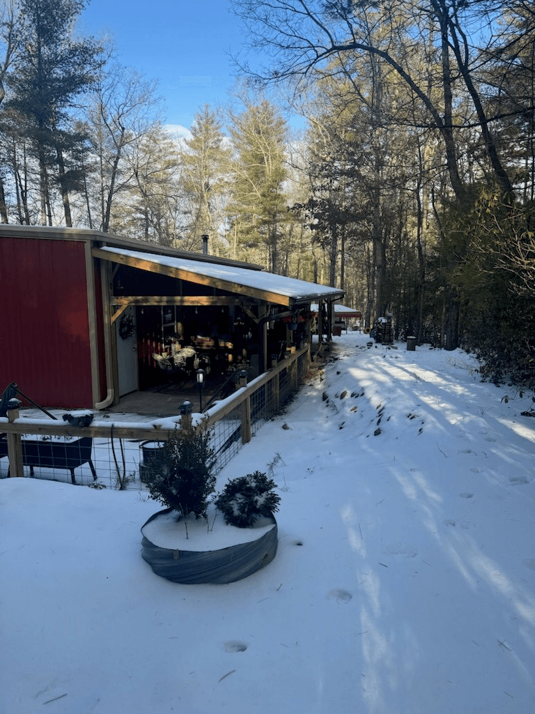 19 Ladybug Lane, Blue Ridge GA 30513 - Photo